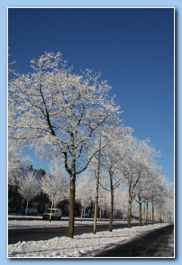 Arnhem Snow 150